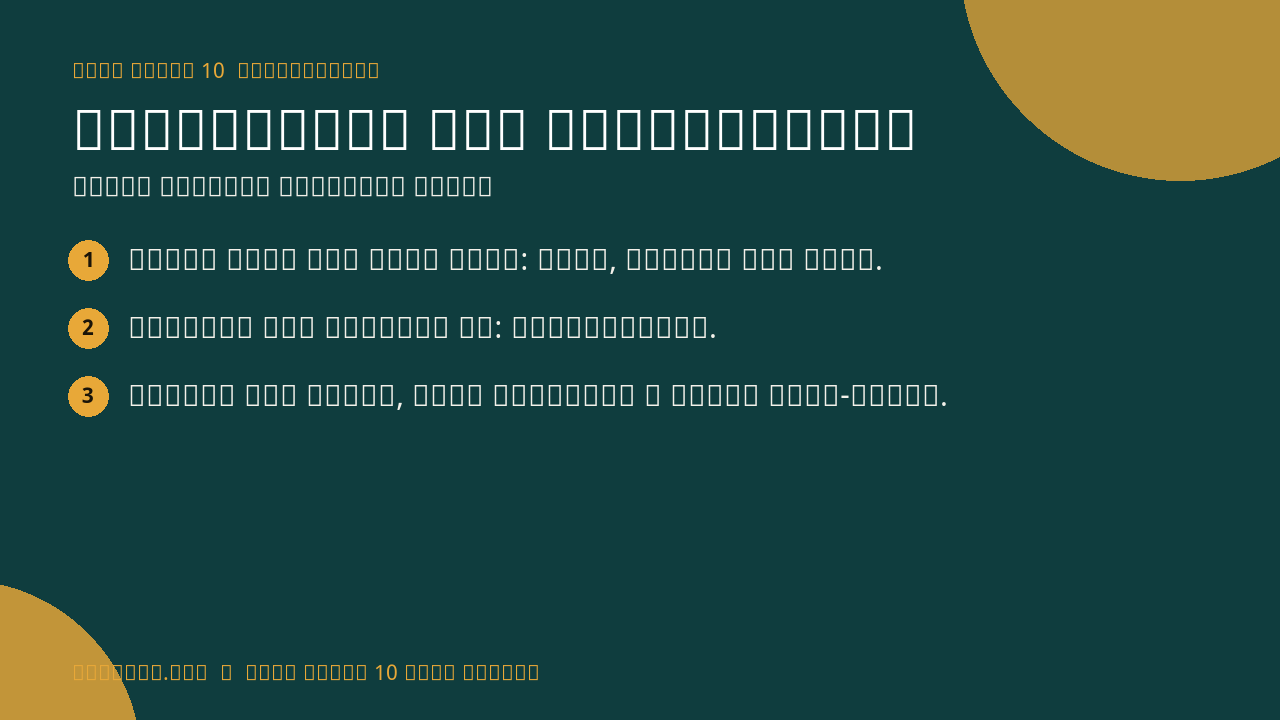 Statistics and Probability infographic